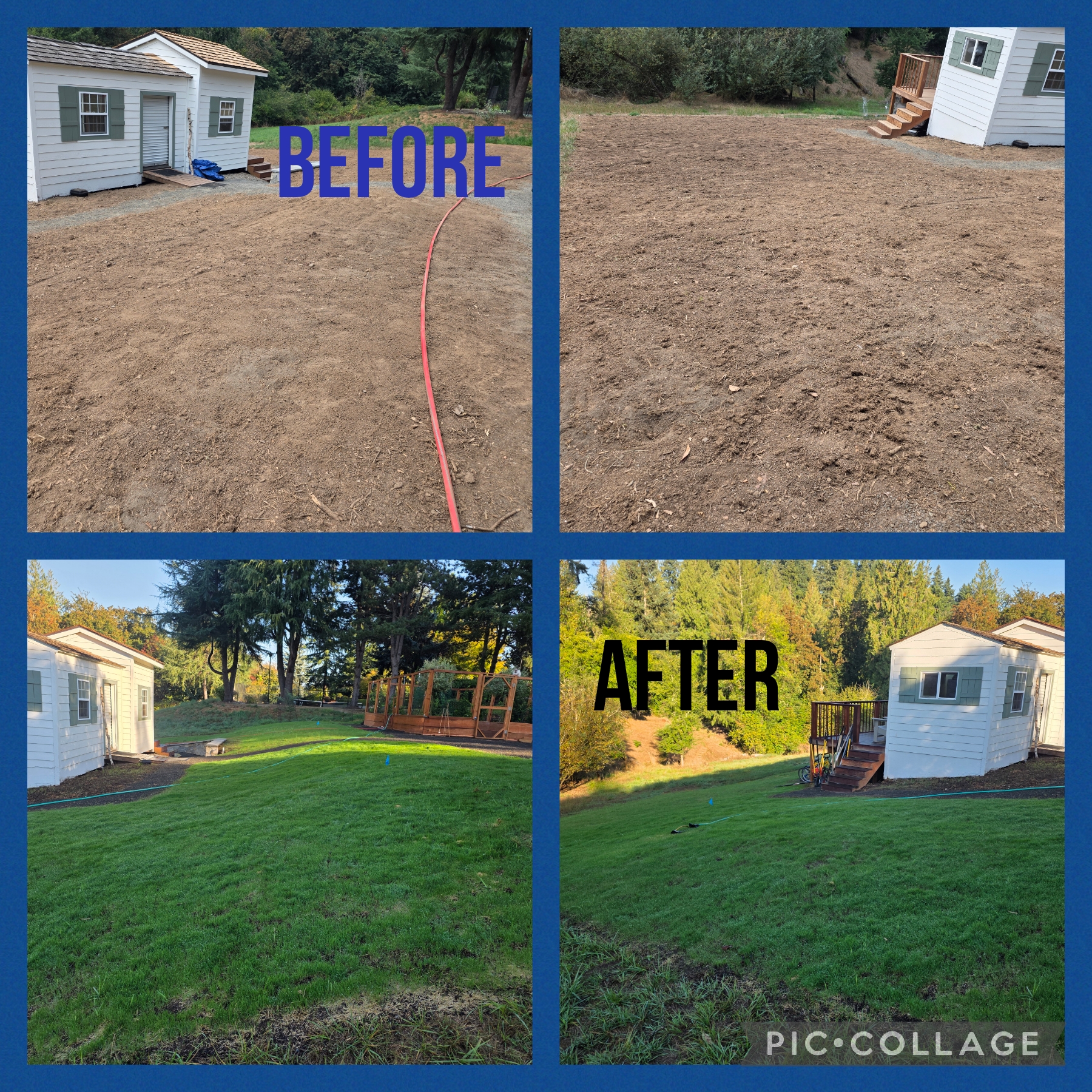 Lawn Renovation — Before & After